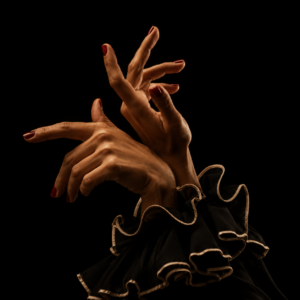 TUFLAMENCO COURSE 26/27